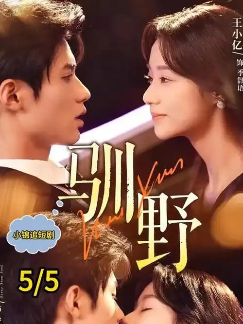 隐秘的角落 海报